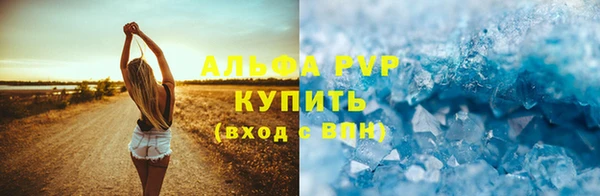 прущие грибы Абинск