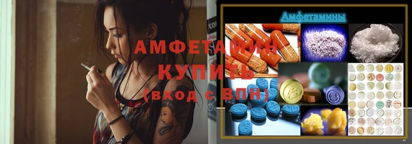 прущие грибы Абинск