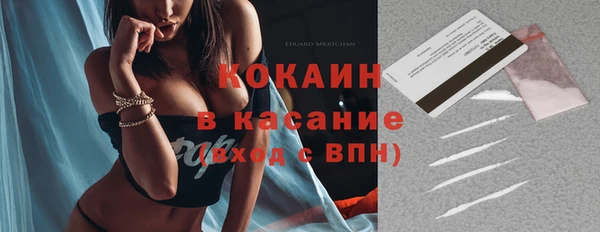 прущие грибы Абинск