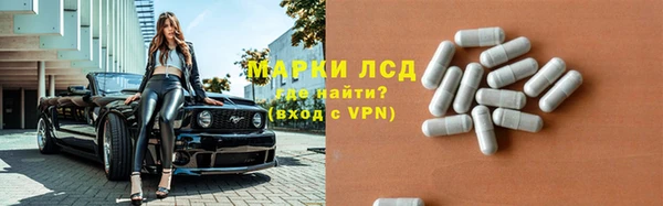 прущие грибы Абинск
