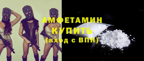 прущие грибы Абинск