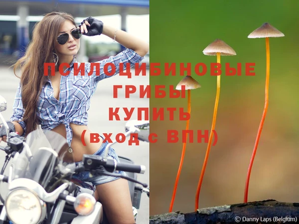 гидра Абдулино