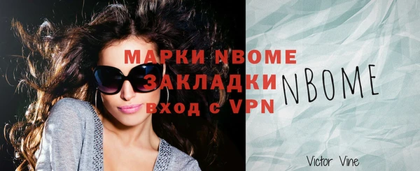 прущие грибы Абинск